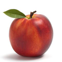 Nectarine