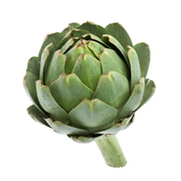 Castel artichoke