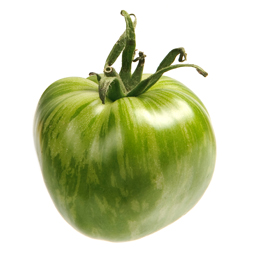 Green Zebra Tomate