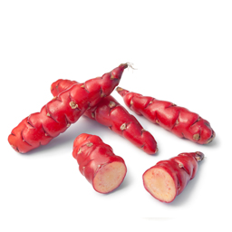 Oca du Pérou