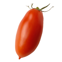 SAN MARZANO