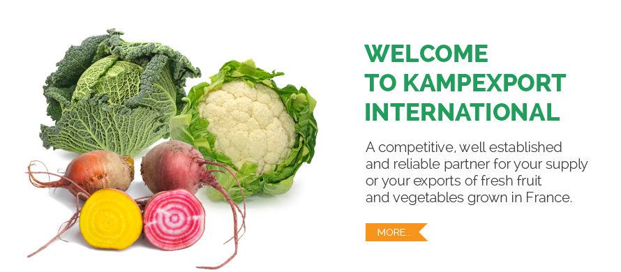 Welcome to Kampexport International